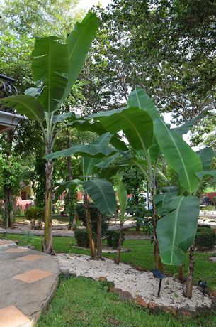 Imagen de los exteriores del Hotel Casas Del Toro Playa Flamingo. Foto 12