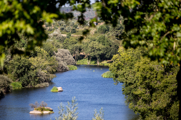 Imagen de los exteriores del Hotel Casas Do Pátio Country Houses and Nature. Foto 6