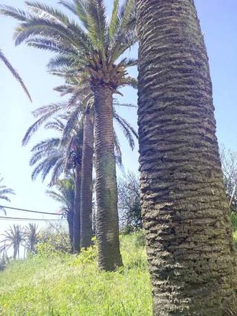 Imagen general del Hotel Casas Rurales Amparo Las Hayas. Foto 6