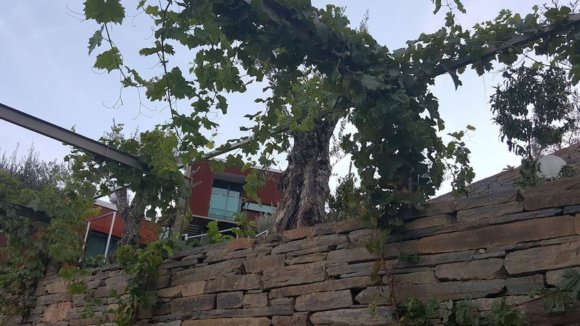 Imagen de la habitación del Hotel Casas de Campo Vila Marim. Foto 3