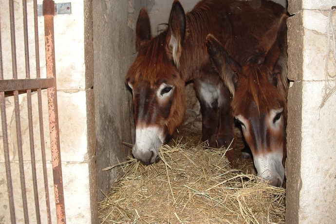 Imagen de los exteriores del Hotel Casato Licitra. Foto 3