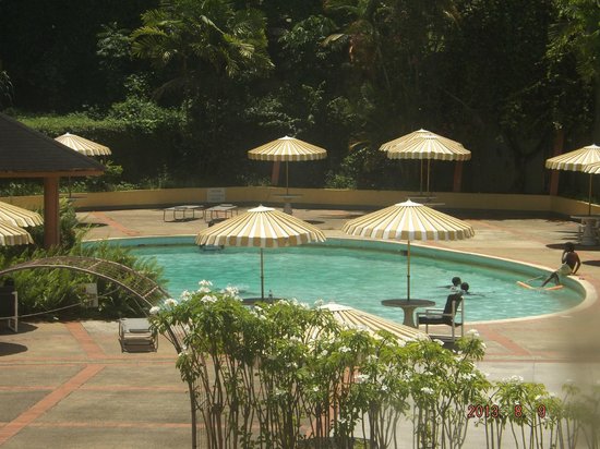 Imagen de la piscina del Hotel Cascadia. Foto 7