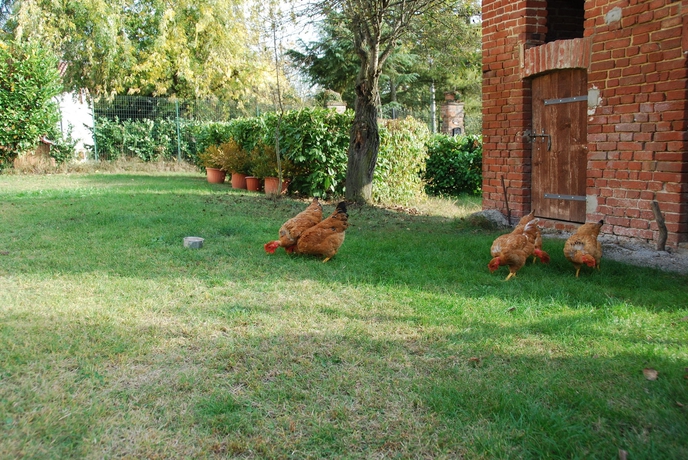 Imagen de los exteriores del Hotel Cascina Bricchetto. Foto 11