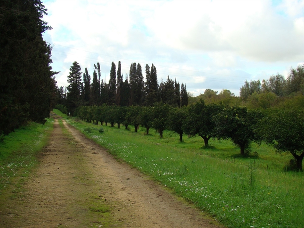 Imagen de los exteriores del Hotel Case Di Latomie Agriturismo - Turismo Rurale. Foto 7