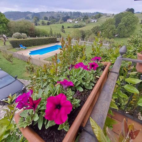 Imagen de los interiores del Hotel Caserio Kamirune. Foto 11