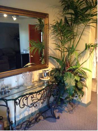 Imagen de la habitación del Hotel Casia Inn. Foto 4