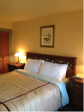 Imagen de la habitación del Hotel Casia Inn. Foto 6