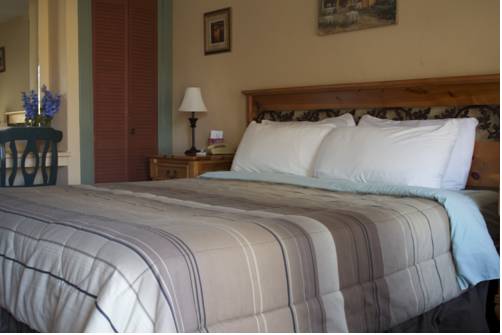 Imagen de la habitación del Hotel Casia Inn. Foto 14