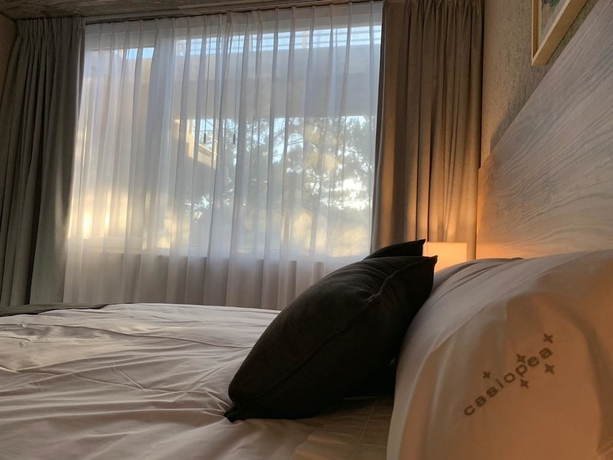 Imagen de la habitación del Hotel Casiopea. Foto 18