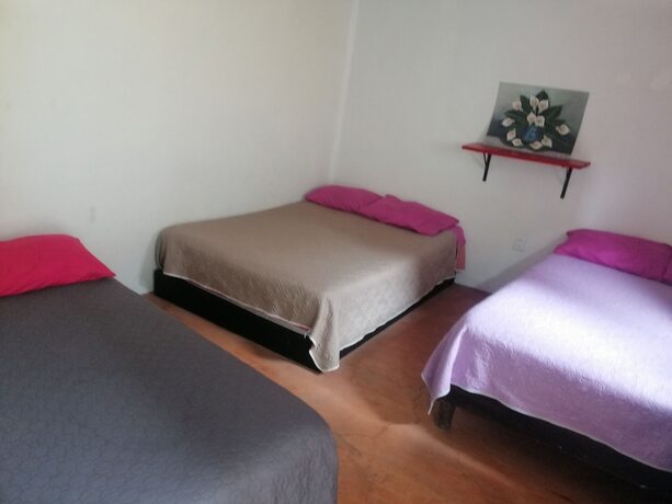 Imagen de la habitación del Hotel Casita del Arbol. Foto 16