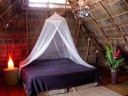 Imagen de la habitación del Hotel Casitas Maraika. Foto 3