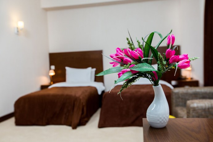 Imagen de la habitación del Hotel Caspian Business. Foto 11