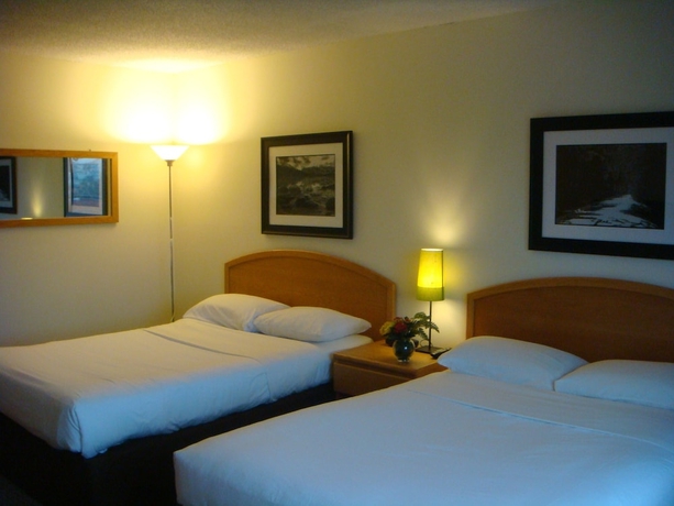 Imagen de la habitación del Hotel Cassandra, Vancouver. Foto 6