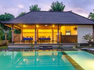 Imagen general del Hotel Cassava Bungalow. Foto 14