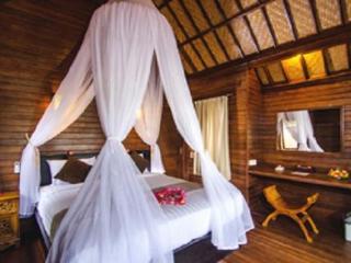 Imagen general del Hotel Cassava Bungalow. Foto 18