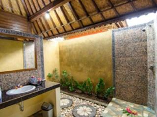 Imagen general del Hotel Cassava Bungalow. Foto 20