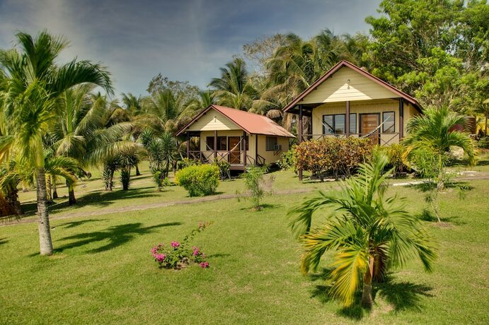 Imagen de la habitación del Hotel Cassia Hill Resort. Foto 19