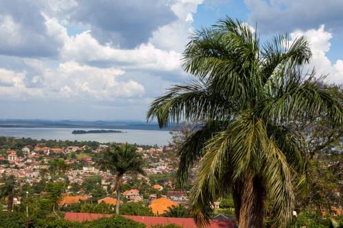 Imagen de la habitación del Hotel Cassia Lodge. Foto 4