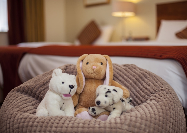 Imagen de la habitación del Hotel Cassidys. Foto 6