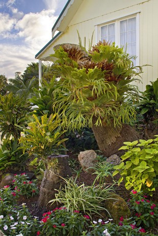 Imagen de los interiores del Hotel Castaway Norfolk Island. Foto 19