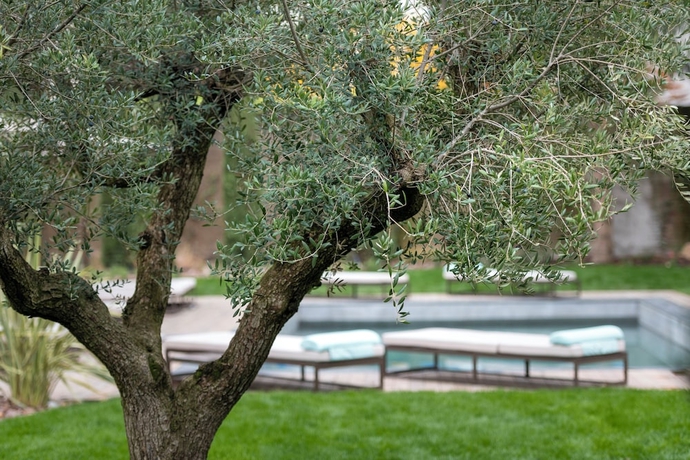 Imagen de la habitación del Hotel Castel Hörtenberg. Foto 6