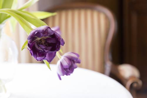 Imagen de la habitación del Hotel Castel Rundegg. Foto 12