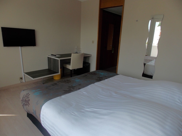 Imagen de la habitación del Hotel Castel, SION. Foto 7