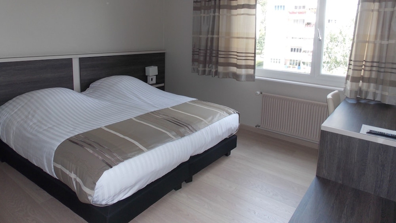 Imagen de la habitación del Hotel Castel, SION. Foto 11