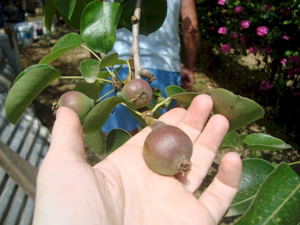 Imagen general del Hotel Castelli Adults Only - All Inclusive. Foto 2