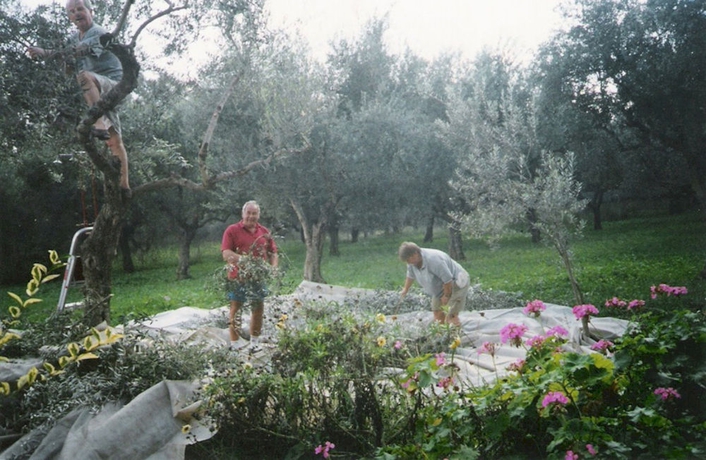 Imagen general del Hotel Castelli Adults Only - All Inclusive. Foto 3