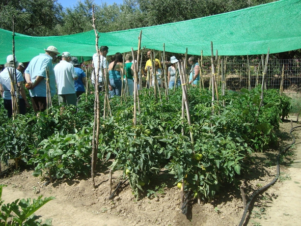 Imagen general del Hotel Castelli Adults Only - All Inclusive. Foto 4