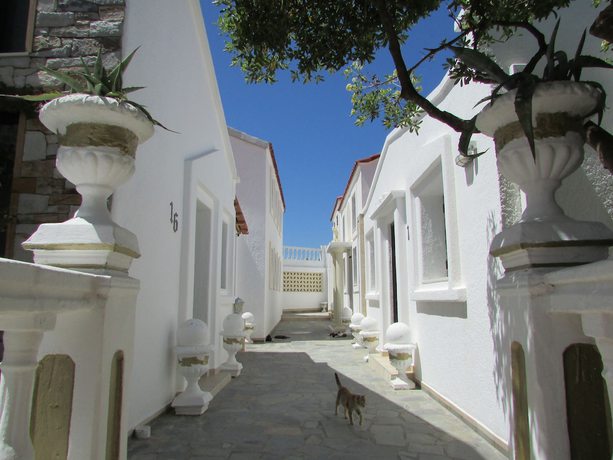 Imagen de los exteriores del Hotel Castellino Studios. Foto 19