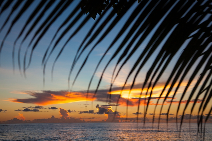 Imagen de los exteriores del Hotel Castello Beach. Foto 11