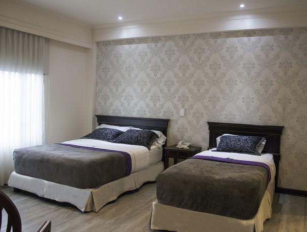 Imagen de la habitación del Hotel Castilla Real. Foto 15