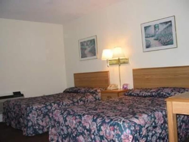 Imagen de la habitación del Hotel Castillo Inn. Foto 10