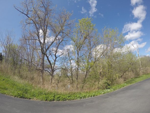 Imagen de los exteriores del Hotel Castle Inn, Castleton-on-Hudson. Foto 18