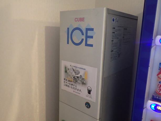 Imagen de los interiores del Hotel Castle Inn Komaki. Foto 20