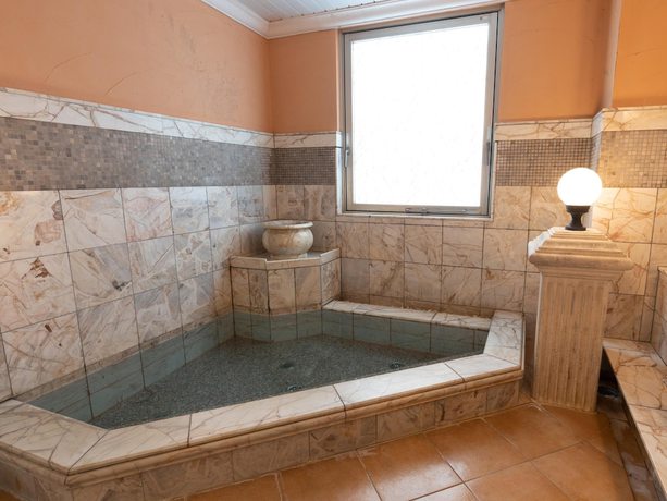 Imagen general del Hotel Castle Inn Tsu. Foto 5