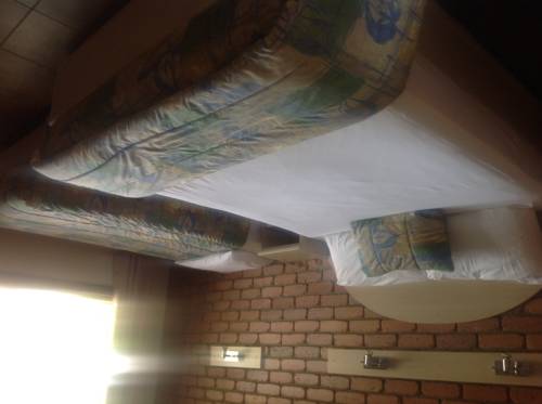 Imagen de la habitación del Hotel Castle Motor Lodge. Foto 5