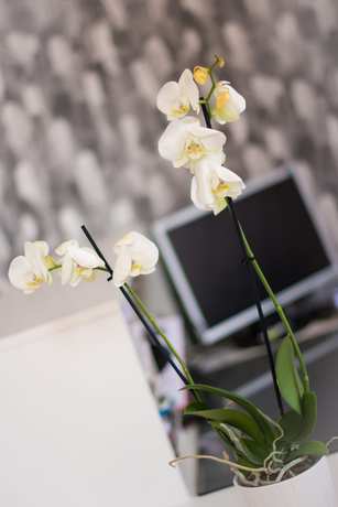 Imagen de los interiores del Hotel Castle Park, Leicester. Foto 19