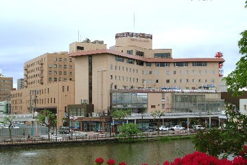 Imagen general del Hotel Castle, Shibusaka. Foto 1