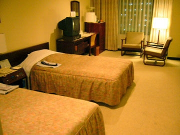 Imagen general del Hotel Castle, Shibusaka. Foto 3