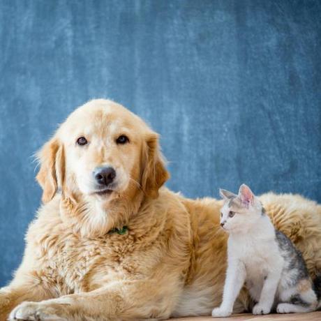 Imagen general del Hotel Casual Natura Valencia. Foto 7