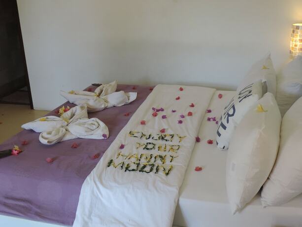 Imagen general del Hotel Casus Dream. Foto 4