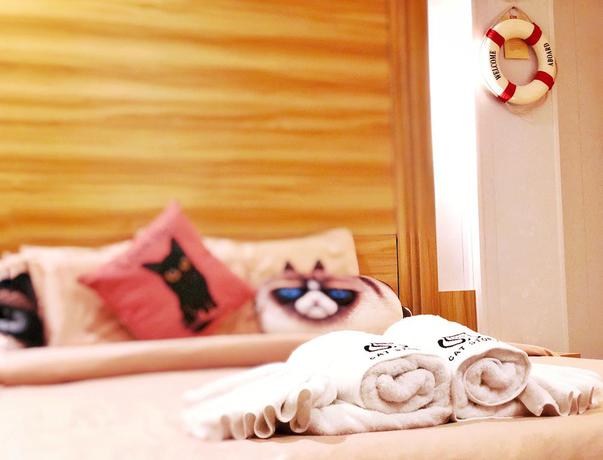 Imagen de la habitación del Hotel Cat Story. Foto 7