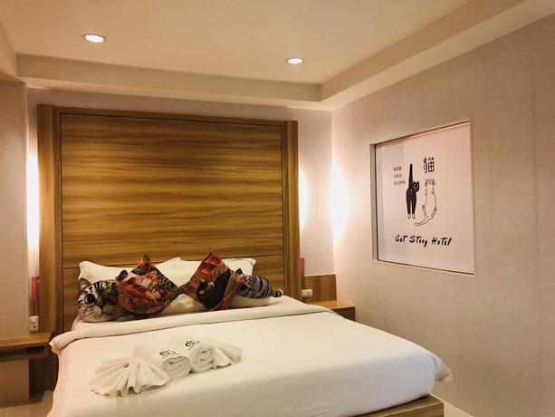 Imagen de la habitación del Hotel Cat Story. Foto 12
