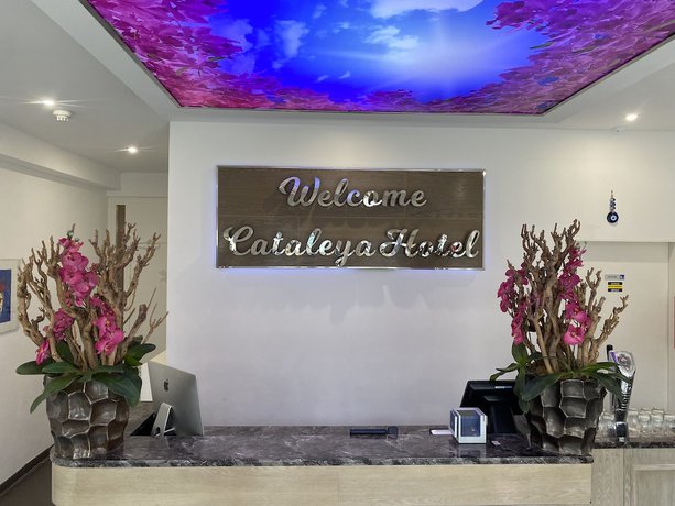 Imagen de los interiores del Hotel Cataleya BV. Foto 18