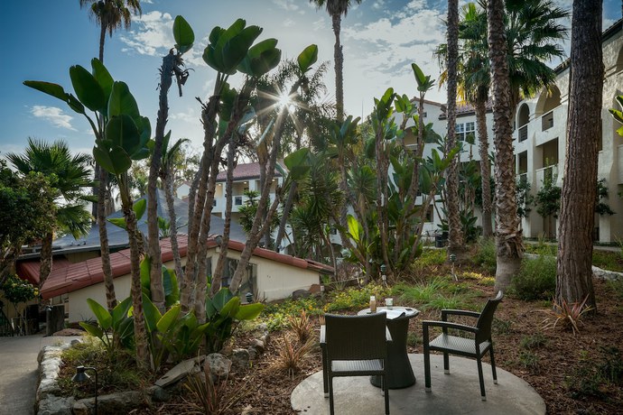 Imagen de los exteriores del Hotel Catalina Canyon Inn, Avalon. Foto 18