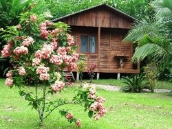 Imagen de los exteriores del Hotel Cataratas Bijagua Lodge. Foto 8