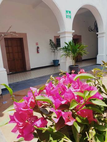 Imagen general del Hotel Catedral Cuernavaca. Foto 6
